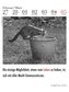 Der literarische Katzenkalender 2024