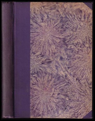 Černý mnich a jiné povídky