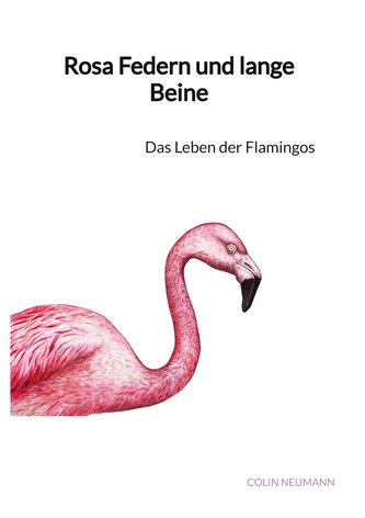 Rosa Federn und lange Beine