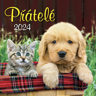 Kalendář 2024 Přátelé, nástěnný