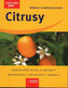 Citrusy