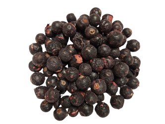Černý rybíz sušený mrazem (lyofilizovaný), balení 20 g