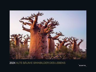 Alte Bäume - Sinnbilder des Lebens 2024