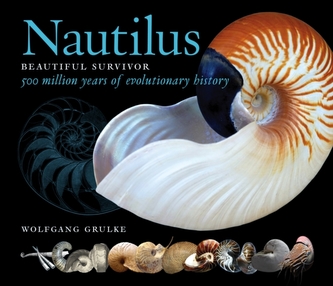 Nautilus: Beautiful Survivor. 500 Million Years of Evolutionary History