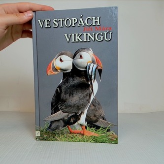 Ve stopách vikingů