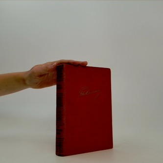 Muž se železným hledím