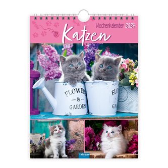 Trötsch Wochenkalender zum Hängen Katzen 2024
