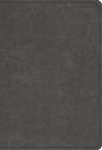 ESV Student Study Bible