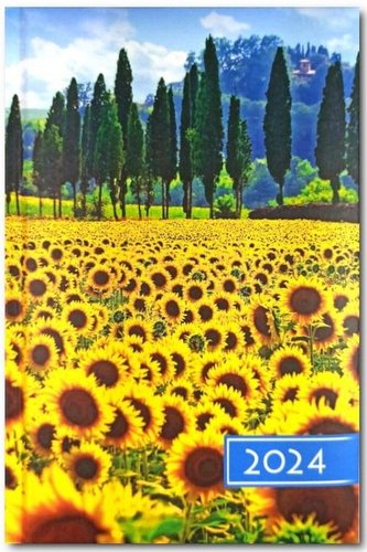 Terminarz 2024 B6 dzienny - słoneczki