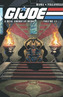G.I. Joe A Real American Hero, Vol. 13