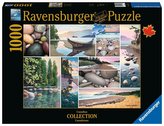Puzzle 1000 Spokój Zachodniego Wybrzeża