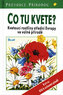 Co tu kvete?