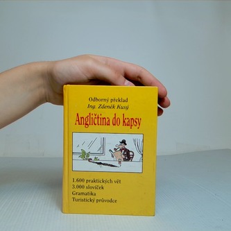 Angličtina do kapsy