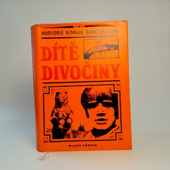 Dítě divočiny