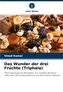 Das Wunder der drei Früchte (Triphala)