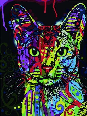 Malowanie po numerach - Kolorowy kot 40x50cm