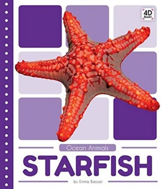 Ocean Animals: Starfish
