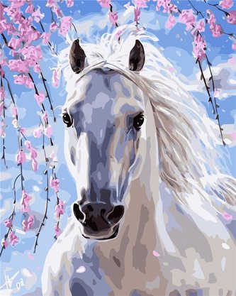 Malowanie po numerach - Biały koń 40x50cm