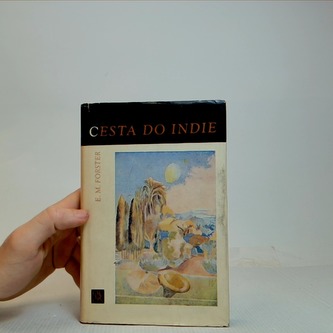 Cesta do Indie