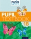 Inspire Maths: 1: Pupil Book 1B