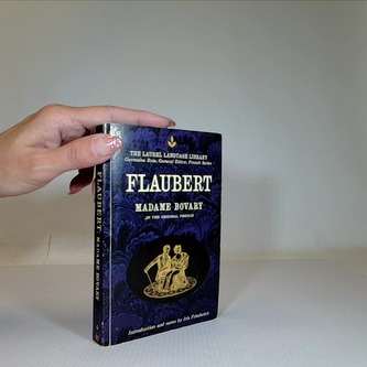 - madame bovary