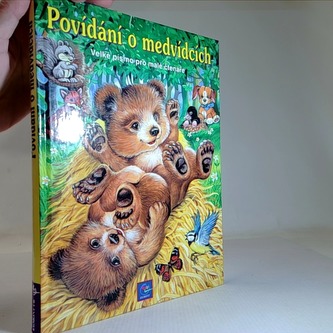 Povídání o medvídcích