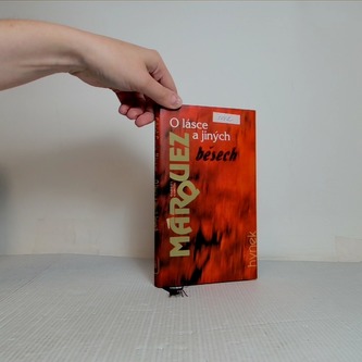 O lásce a jiných běsech