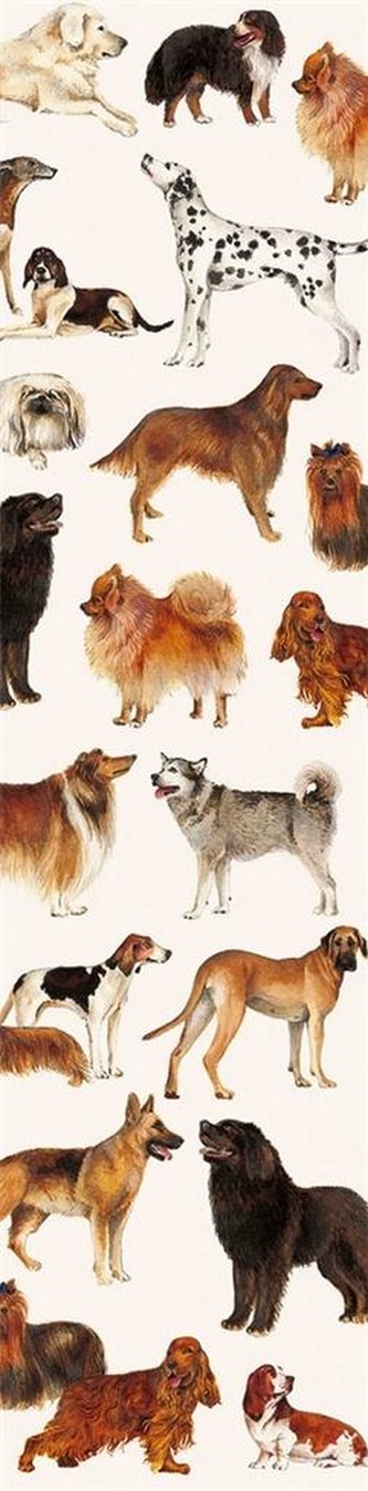 Zakładka do książki 9101 Cani opakowanie 2 sztuki