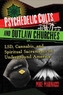 Psychedelic Cults and Outlaw Churches