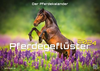 Pferdegeflüster - Der Pferdekalender - 2024 - Kalender DIN A2