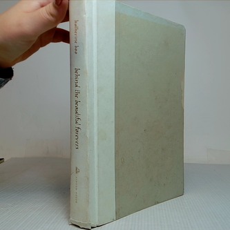 Behind the beautiful forevers