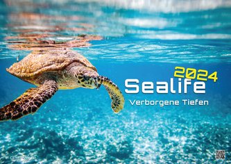Sealife - verborgene Tiefen - 2024 - Kalender DIN A2