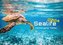 Sealife - verborgene Tiefen - 2024 - Kalender DIN A2