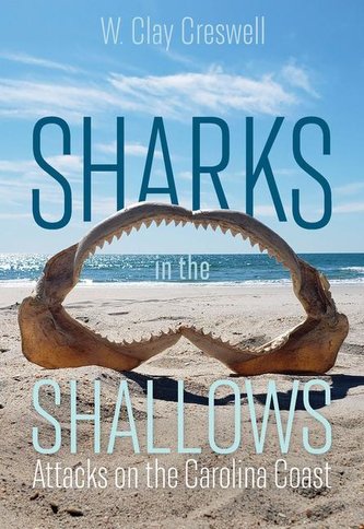 Sharks in the Shallows: Attacks on the Carolina Coast