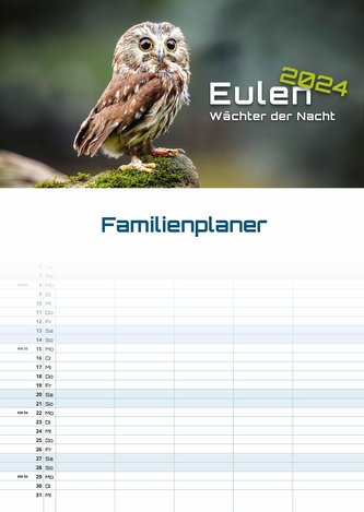 Eulen - Wächter der Nacht - 2024 - Kalender DIN A3 (Familien-/Terminplaner)