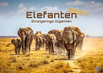 Elefanten - einzigartige Giganten - 2024 - Kalender DIN A2