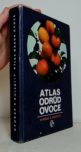 Atlas Odrud ovoce