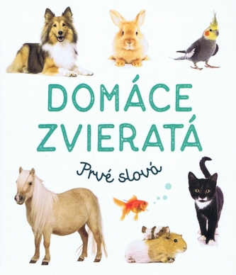 Domáce zvieratá
