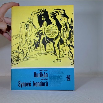 Hurikán a Synové kondorů