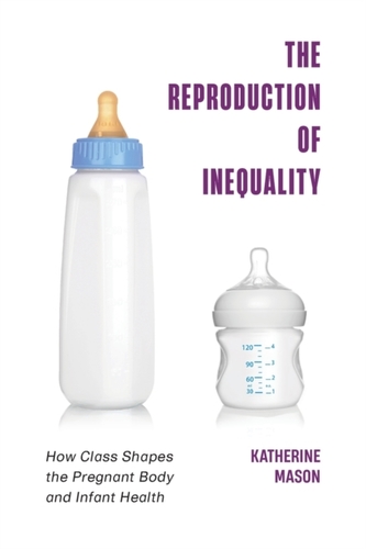 The Reproduction of Inequality