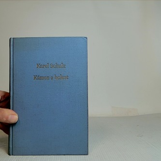 Kámen a bolest