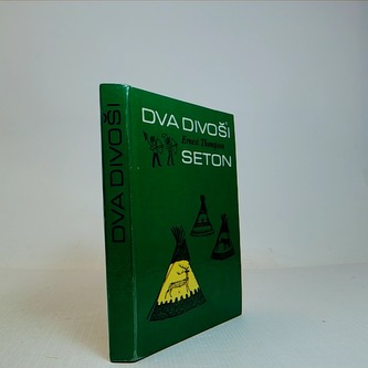 Dva divoši