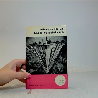 Anděl na kolečkách