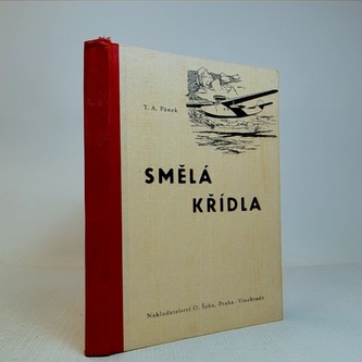 Smělá křídla