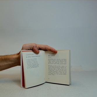 Český brevíř lásky