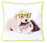 Polštář DIAMONDS PETS - CHLAPEC S BRÝLEMI 40x40cm ESSEX