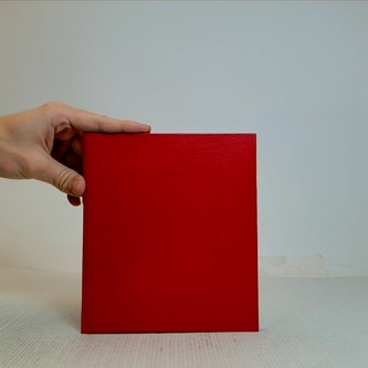 Vyřešený případ