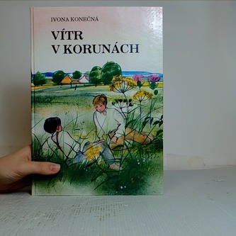 Vítr v korunách