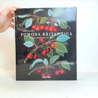 Pomona Britannica