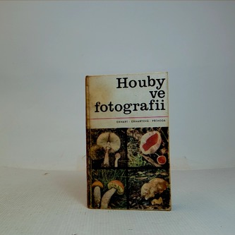 Houby ve fotografii